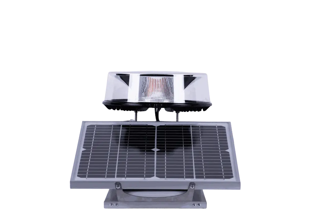 DSC04733JPG - Edited.webp